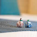 【手作り林檎の迎え】