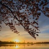 【観光】千波湖