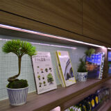 【サービス】本棚