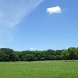 【観光】小金井公園