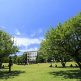 International Christian University