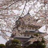 【観光】亥鼻公園