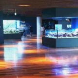 マリンピア日本海