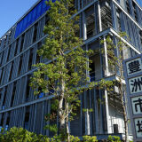 【観光】豊洲市場