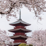 【観光】池上本門寺