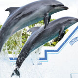 【観光】しながわ水族館