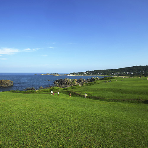 種差天然草坪地