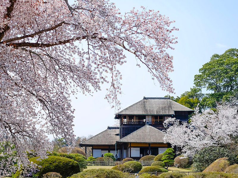 是前往水户周边地区旅游观光的最佳出发点