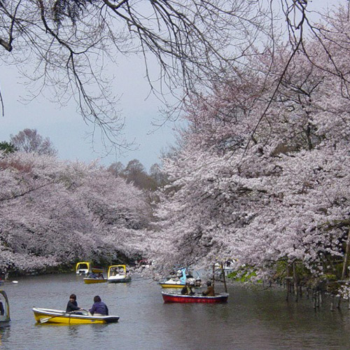 이노카시라 온시 공원