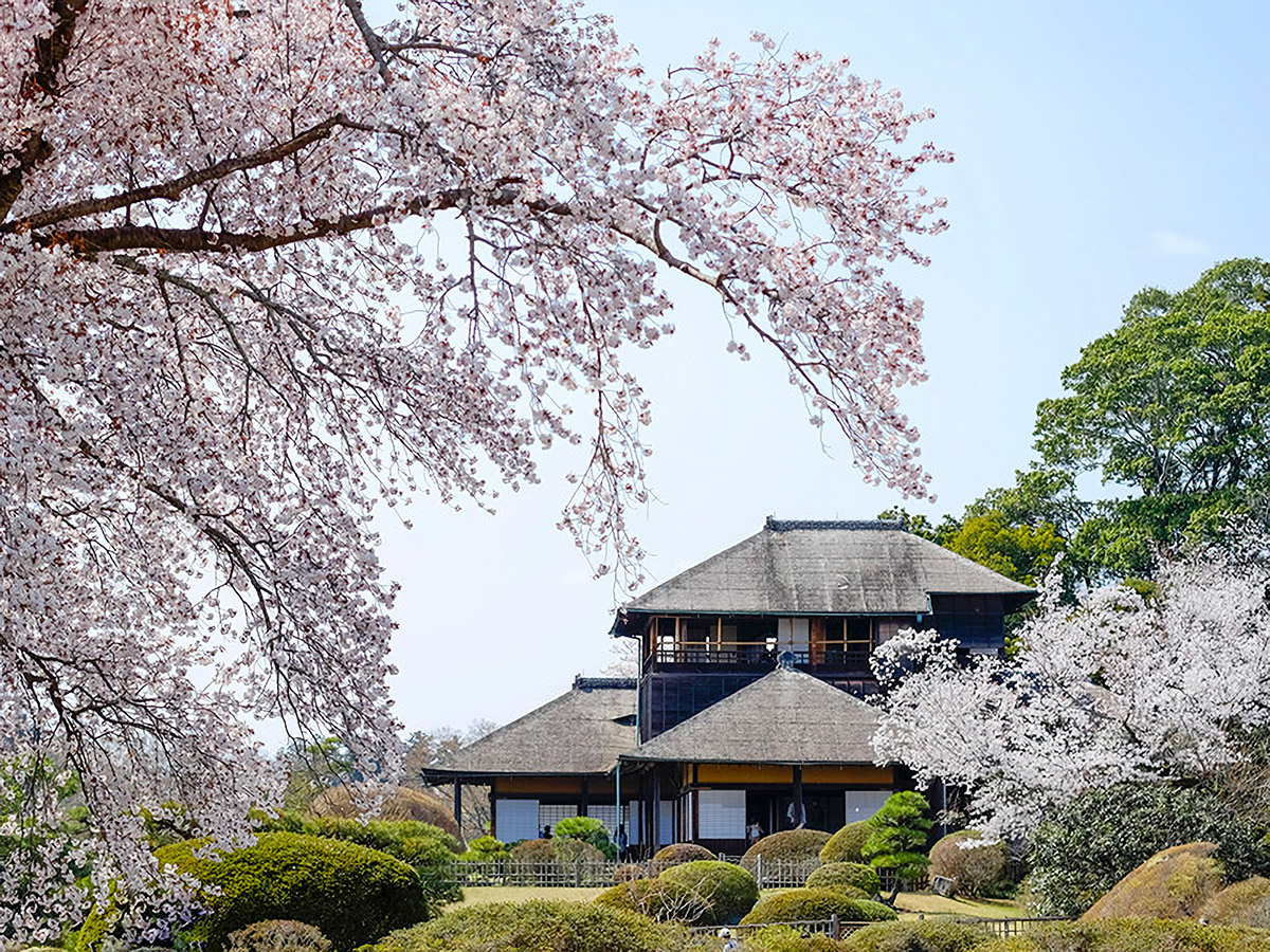 水戸周辺エリアへの観光の拠点に最適