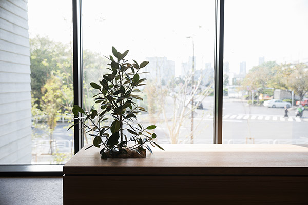 施設情報・サービス