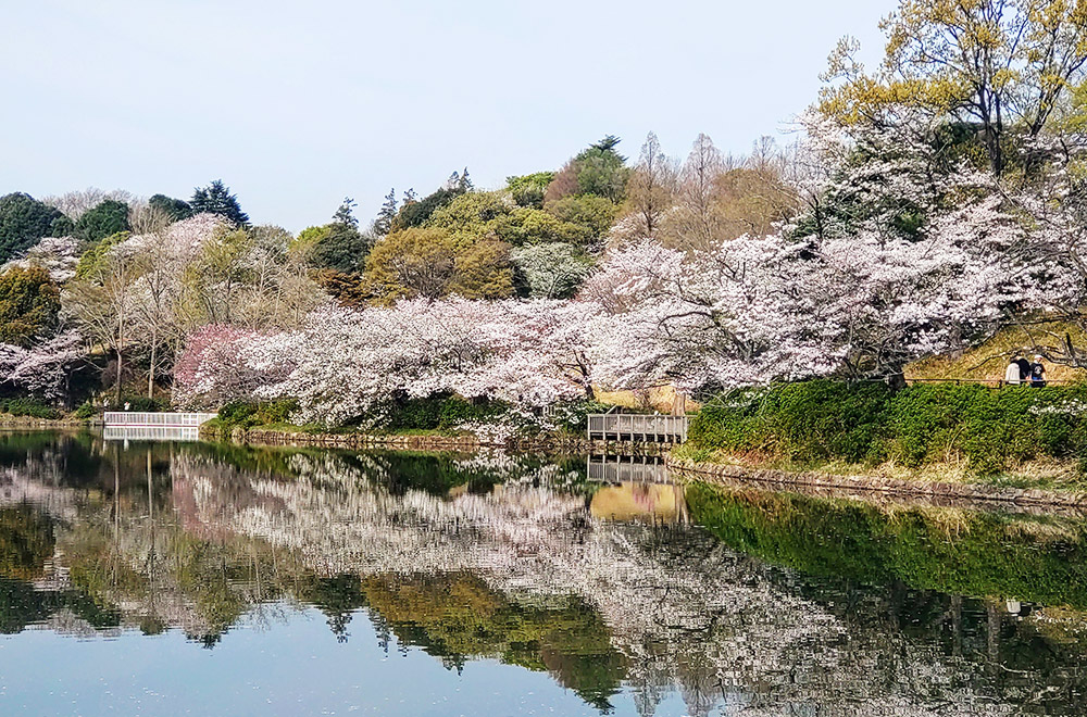 三ツ池公園
