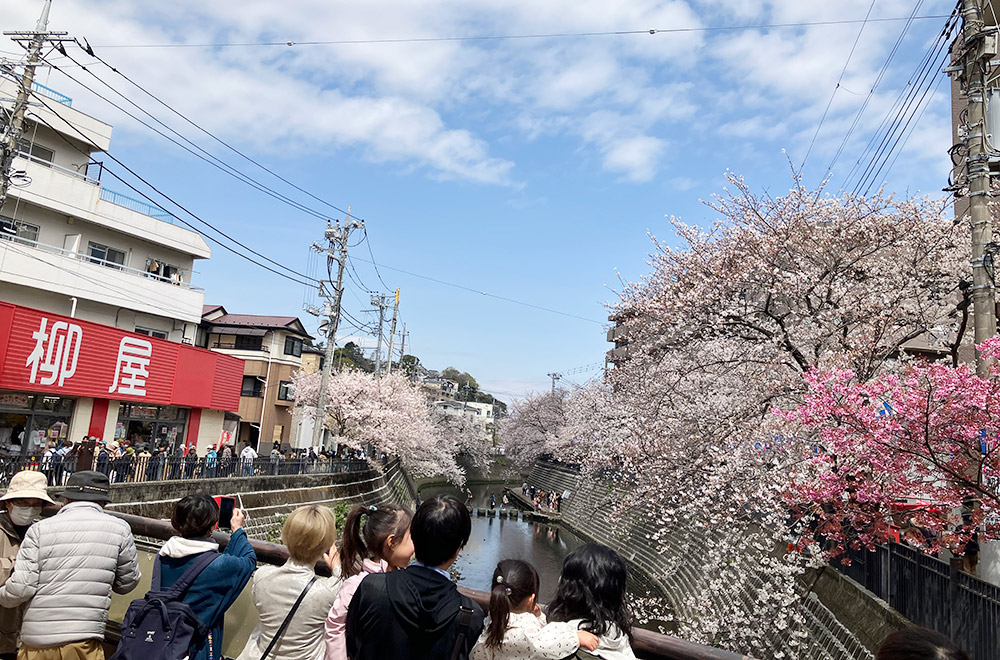 大岡川プロムナード