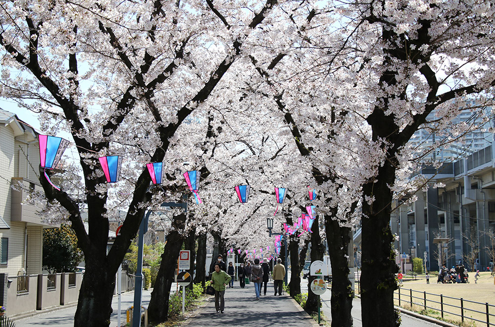 花と緑の散歩道