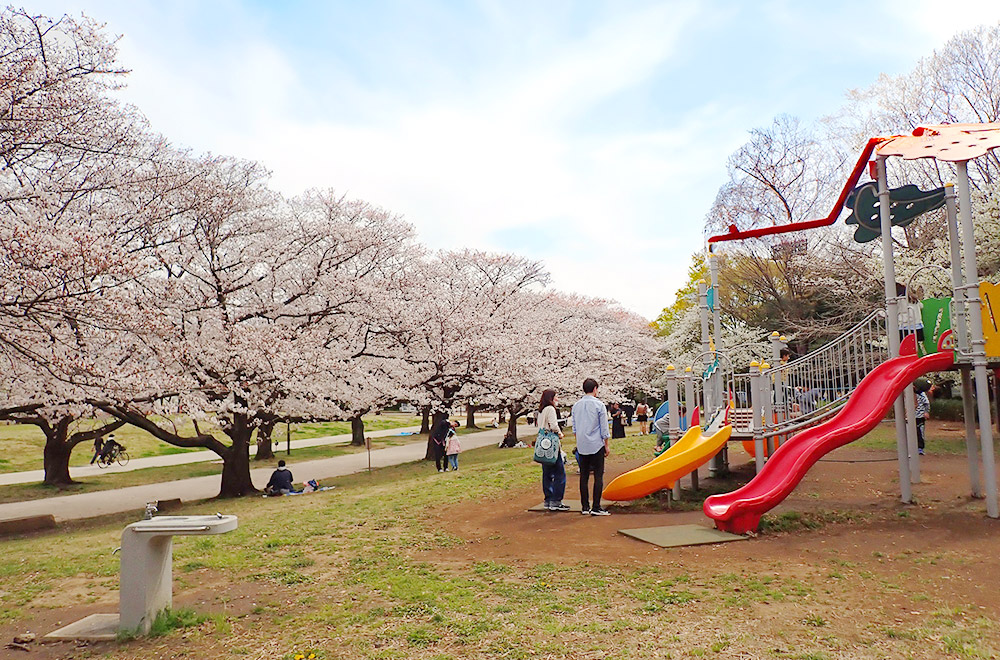 大井ふ頭中央海浜公園スポーツの森