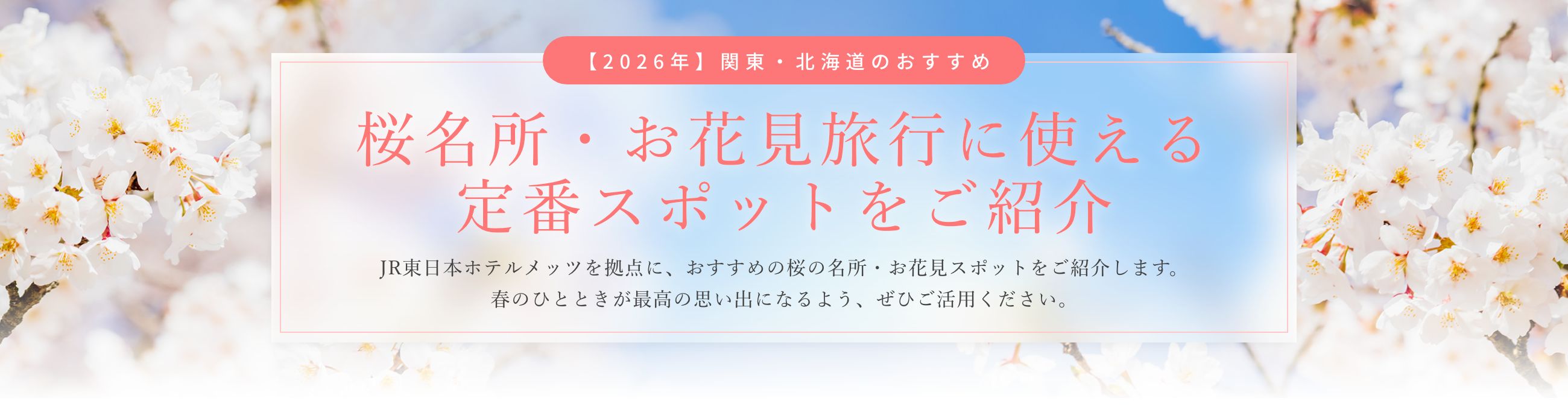 【2026年】関東・北海道のおすすめ桜名所22選！お花見旅行に使える、定番スポットをご紹介