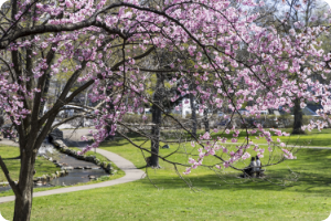 観光地のイメージ