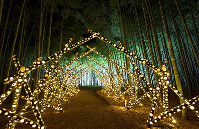 若竹の杜 若山農場